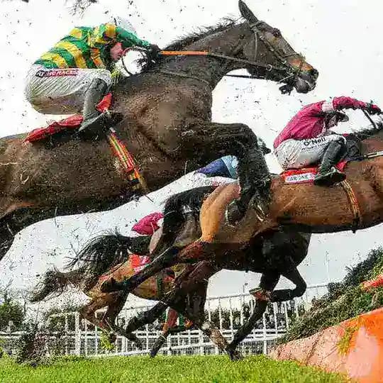Best Bets and Tips