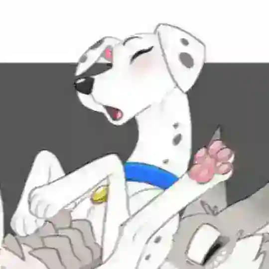 Bestiality