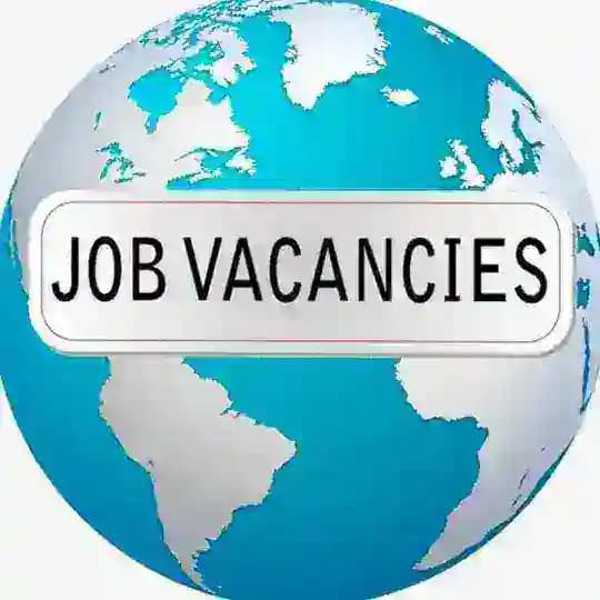 Job groups chanel