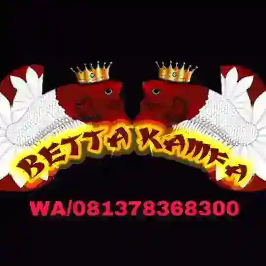 BettaKamfa(AUCTION)