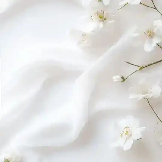 ⍣ 𝐁𝐞𝐲𝐚𝐳 𝐒𝐚𝐲𝐟𝐚 ⍣ Profile