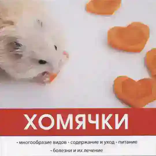 Бездом2ные