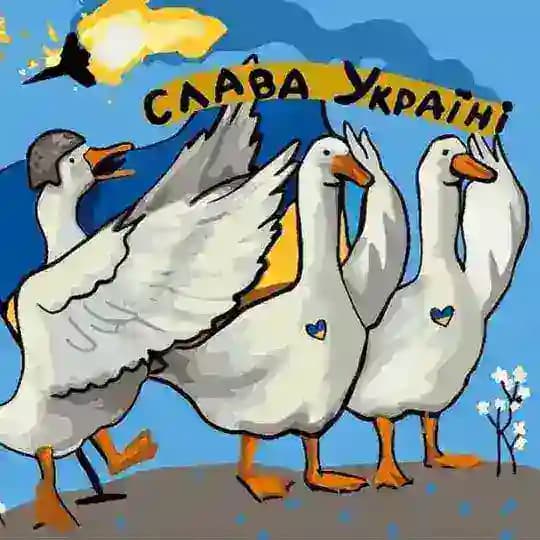БФ «Гусятко»