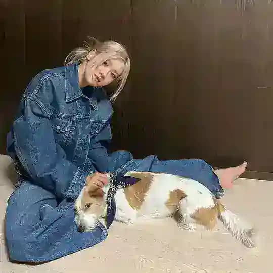 rosé🥀
