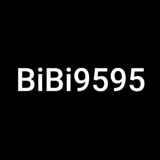 BiBi9595