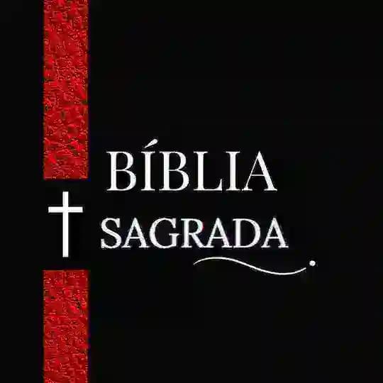 📖 𝗕Í𝗕𝗟𝗜𝗔 𝗘𝗠 𝗣𝗗𝗙 📖