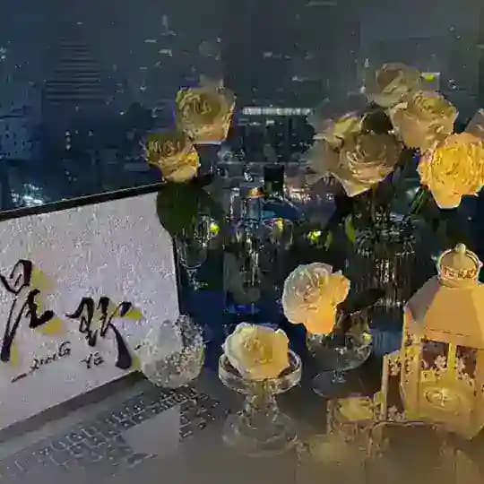 日落跌进昭昭星野