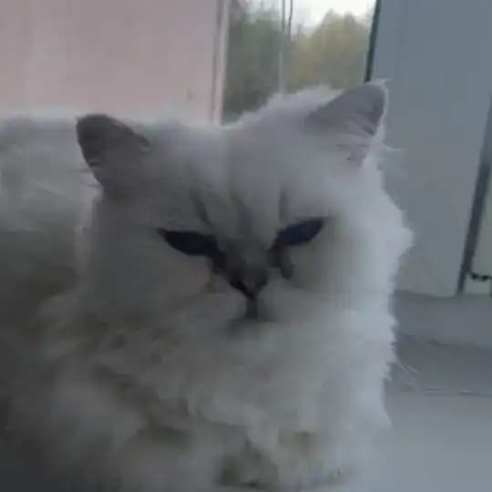 Свободные эскизы