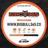 BIGBULL365.CO