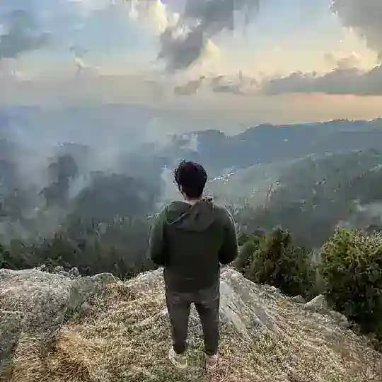 BDG earnings Profile