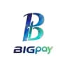 Bigpay Club大支付
