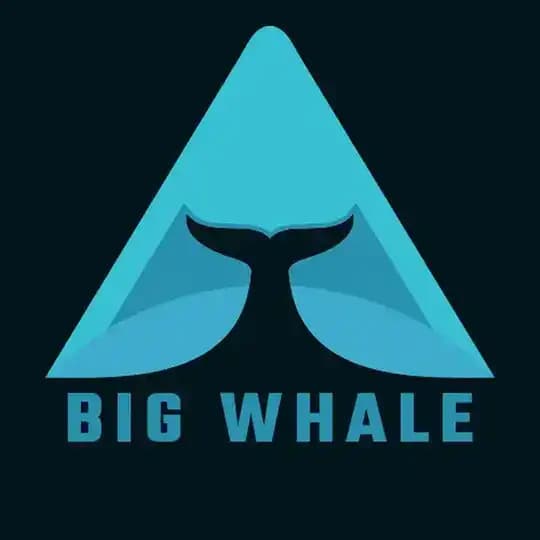BIG WHALE 🐳