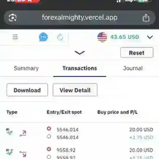 FX almighty.vercel.App/BINOMO Trading System/Investment