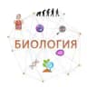 Биология в системе