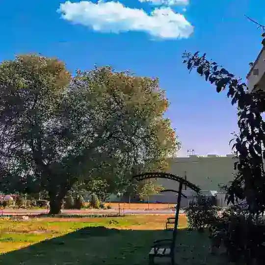 كلية العلوم / قسم التقنيات الأحيائيه الرسمي