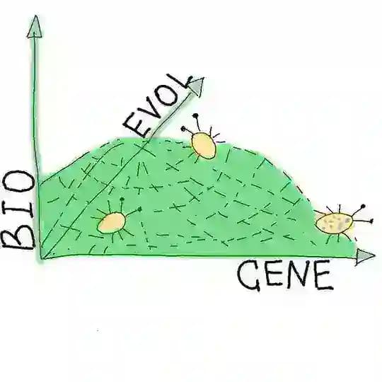 БиоЭволГен | BioEvolGene