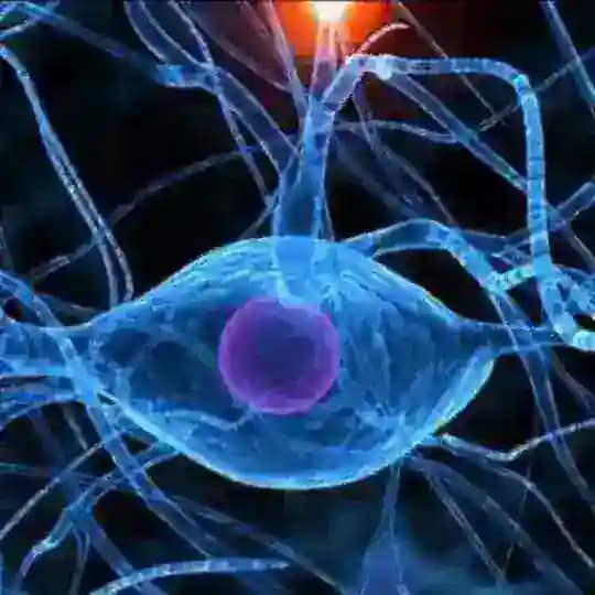 Bio resonantie & magnetische therapie