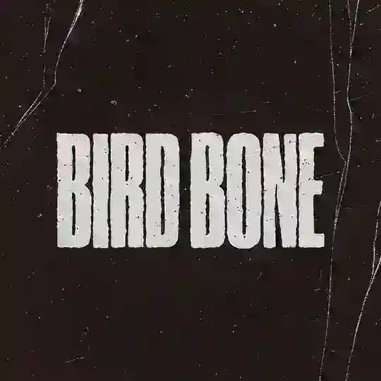Bird Bone