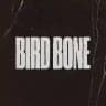 Bird Bone