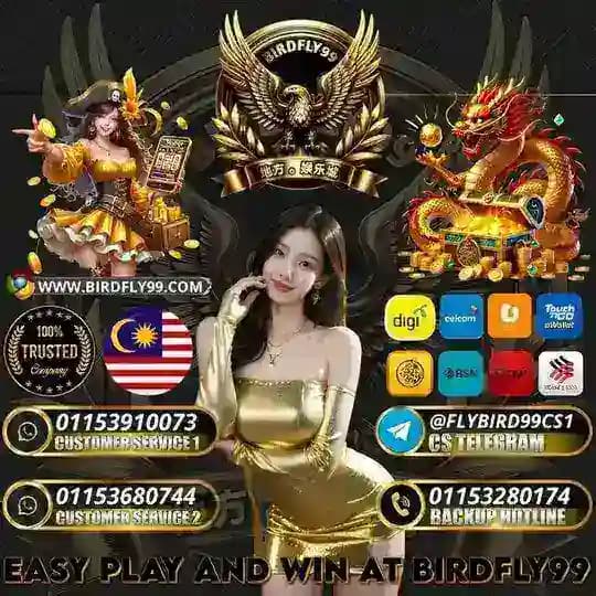 Bukti Cuci BIRDFLY99 Profile