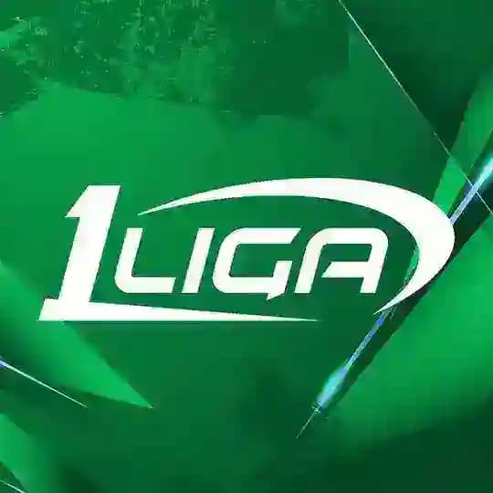 Birinchi liga Profile