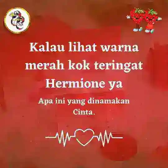 Channel Hermione Profile