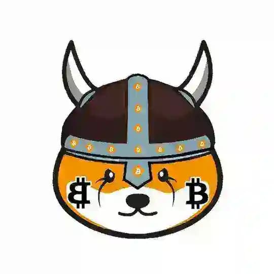 bitFloki ($BFLOKI)