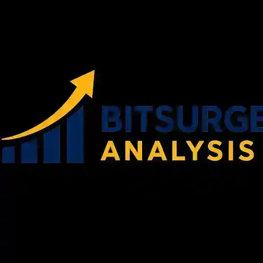 Bitsurge Analysis