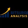 Bitsurge Analysis