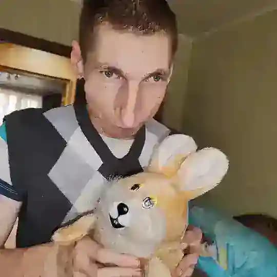 Минусы и плюсы