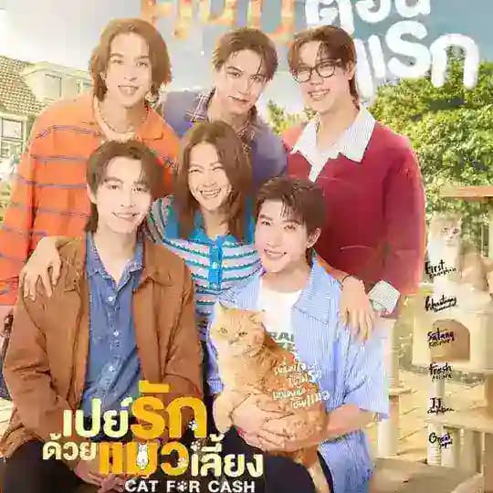 Cat For Cash ๐ณ๏ธโ๐