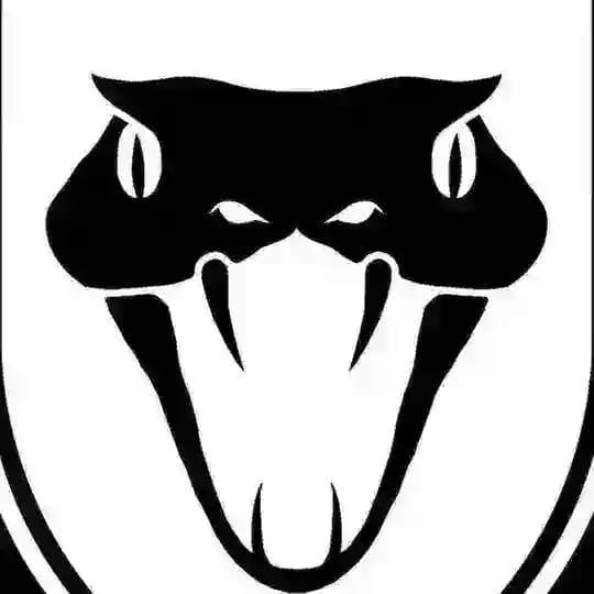 BLACK MAMBA GROUP