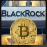 BLACKROCK✨FX ✨SIGNALS