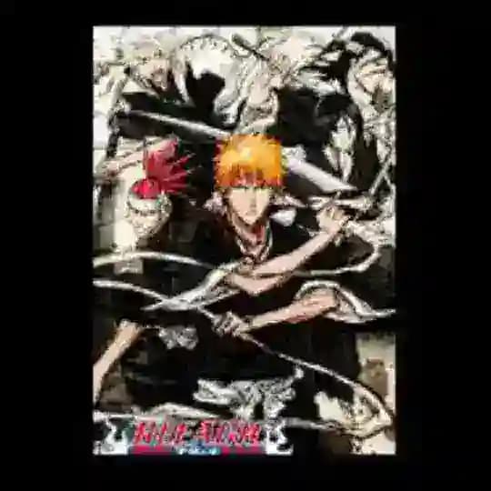 Bleach In English dub and sub