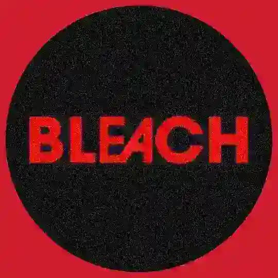 BLEACH TYBW - All Episodes