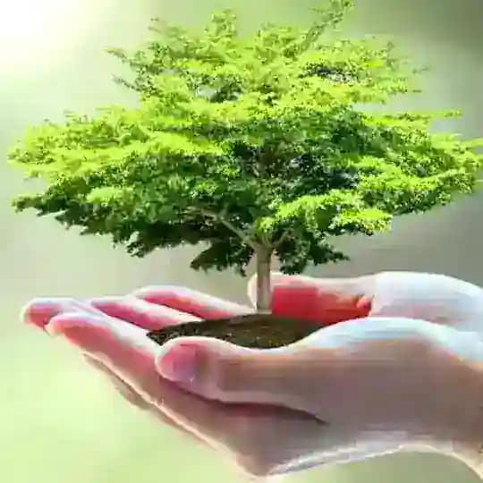 Bleib natürlich gesund Profile