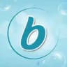 BLIESE, Air Freshener.