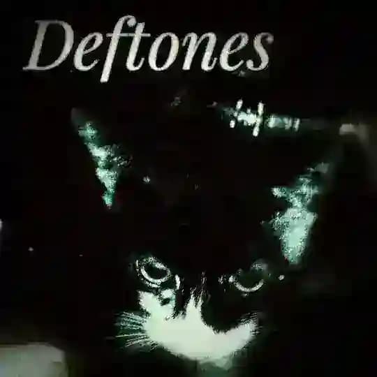 𝗯𝗹𝗶𝘀𝘀