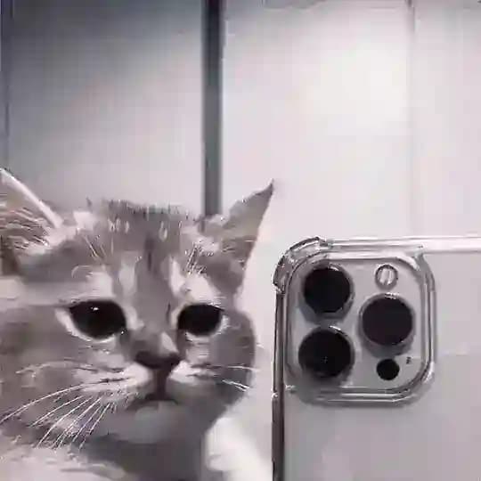 ᴘᴇʀɢᴀʙᴜᴛᴀɴ Profile