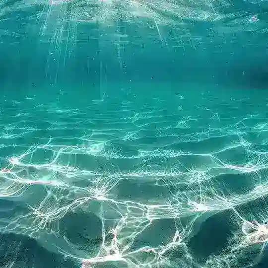 𝑴𝒂𝒓𝒎𝒐𝒓𝒊𝒔