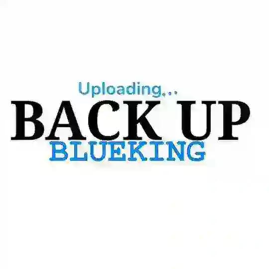 Blueking Main