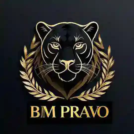 ООО «БМ-право»