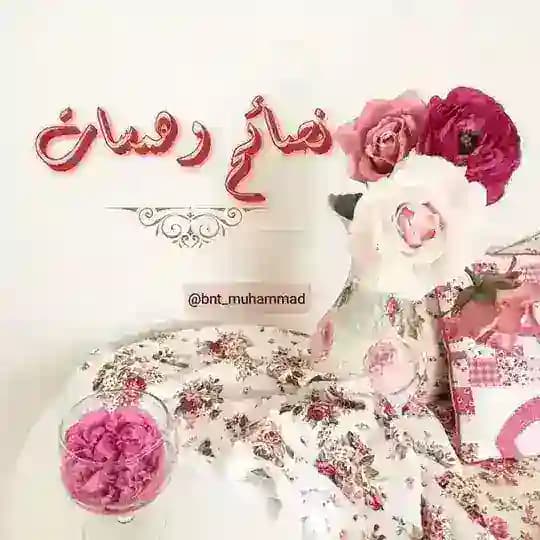 🎀 ݩــصــائح ۆ ۿــمــســاٺ 🎀 Profile