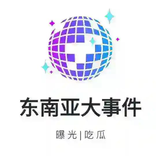 东南亚骗子曝光安危事件