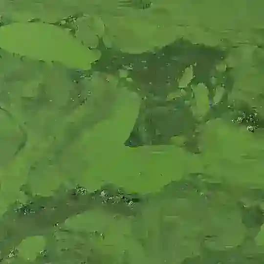 Болотная нимфа👩🏻🎨 🩶🐸🦠🪱☘️🌿🐍