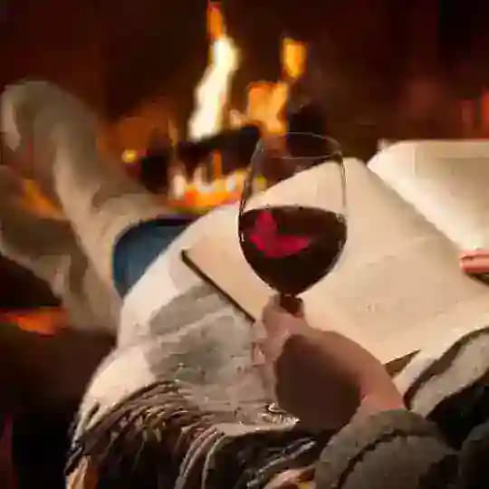 Дім книг і вина📚🍷 Profile