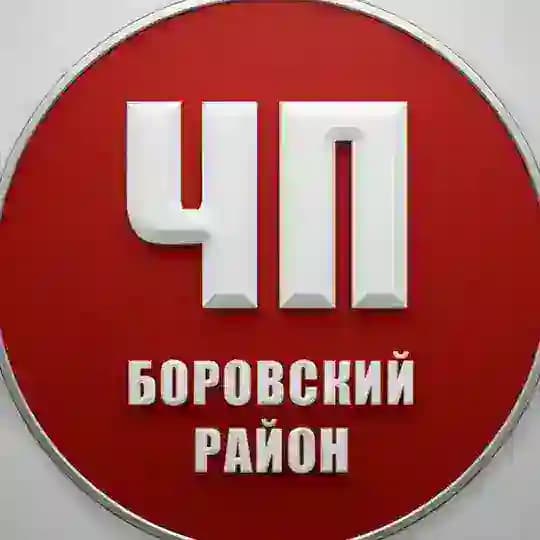 ЧП Боровский район