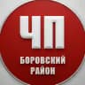 ЧП Боровский район