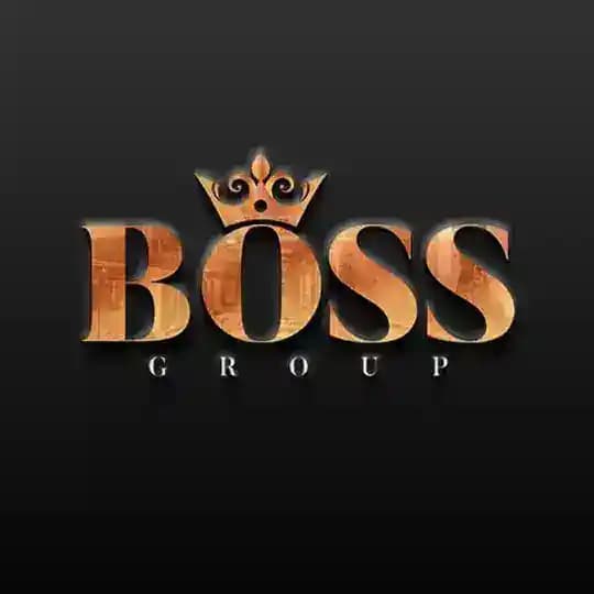 BossGroup VIP