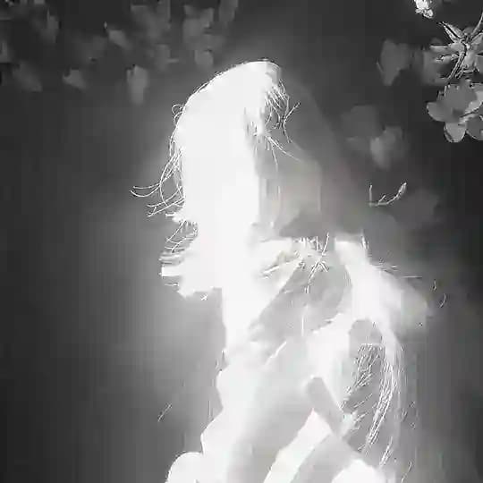 ⌑˚𝓑𝓸𝓽𝓲𝓴𝓲 𝓬𝓪𝓲.𝓬𝓱𝓪𝓲ೃ࿔˚⌑ Profile